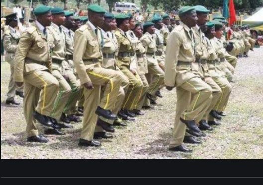 Apply For Nigerian Prisons Service Recruitment Form 2020-2021 