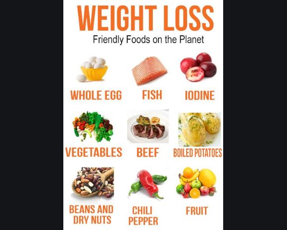 8 Weight Loss Friendly Foods - Fat Burning Foods