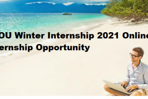 sunrise internship 2021 scholarships faou opportunity winter ng