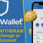 How to withdraw money from a trust wallet