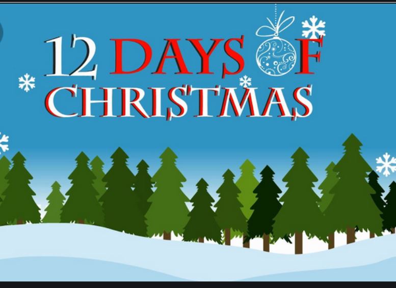 Twelve Day Of Christmas Mp3 Download