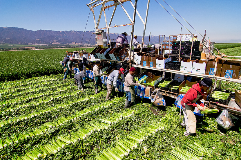 Farm jobs with Visa Sponsorship in Canada for Foreigners