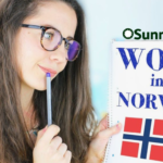 Norway Government Jobs with Free Work VISA