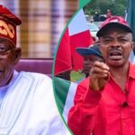 Tinubu's Government and Labour Leaders Reach Agreement to End Minimum Wage Strike
