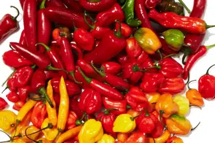 5 Excellent Alternatives to Fresh Peppers in Your Cooking